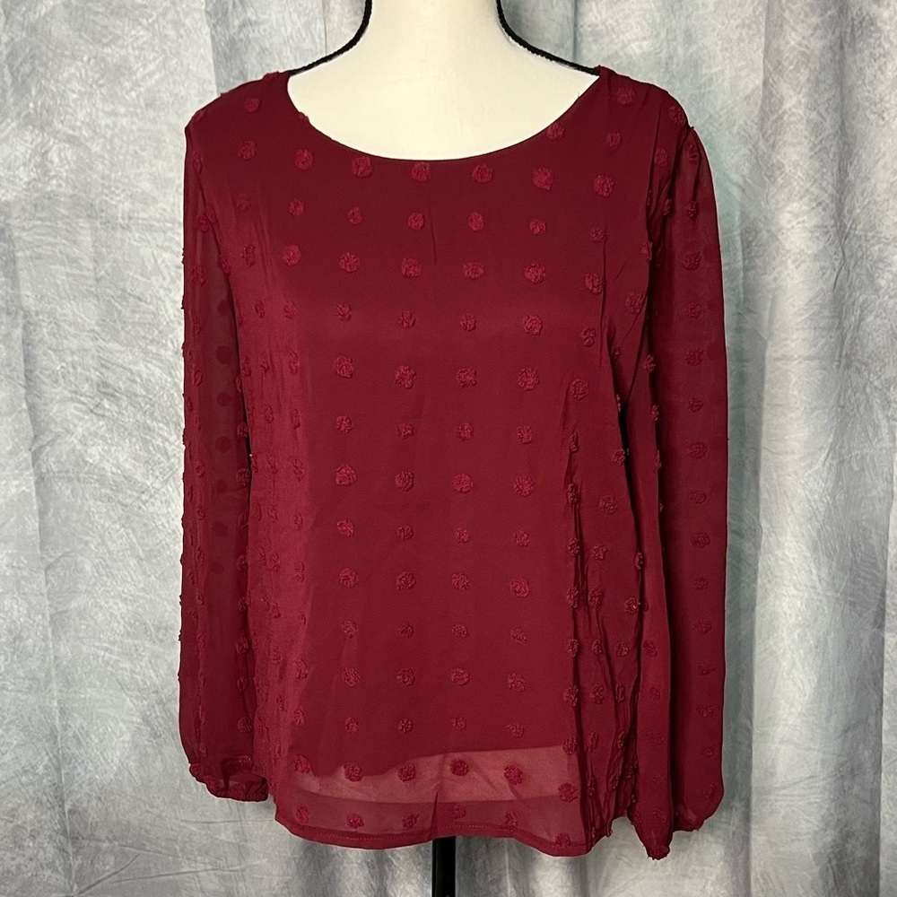 Qearal Burgundy Chiffon Sheer Sleeve Top With Embroidered Polka Dots - Small